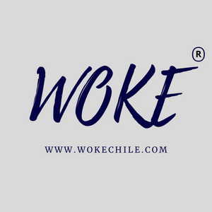 favicon|wokechile.com|wokechile.cl|Sex shop | Woke Chile | Juguetes sexuales de alta calidad en Chile | Juguetes para adultos